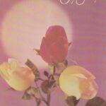 Atvirukas "Su gimimo diena!"