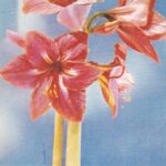 Atvirukas "Su švente!"