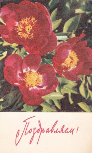 Atvirukas „Поздравляем!“ 1968