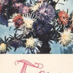 Atvirukas „Поздравляю!“