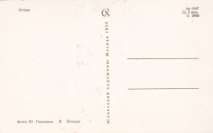 Atvirukas „Поздравляю!“