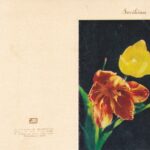 Atvirukas „Sveikinu“