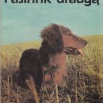 Autorių kolektyvas. Pasirink draugą