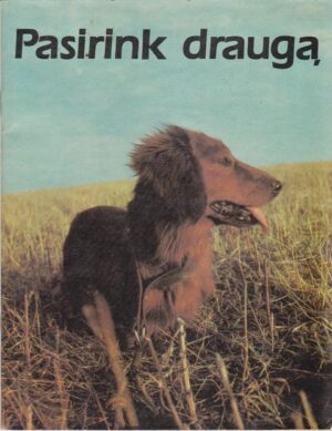 Autorių kolektyvas. Pasirink draugą