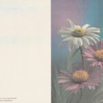 Atvirukas su ramunėmis