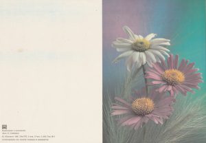 Atvirukas su ramunėmis