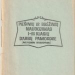 Piešinių ir brėžinių naudojimas I-III klasių darbų pamokose