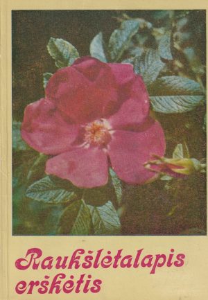 Raukšlėtalapis erškėtis