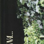 Kavaliauskienė Scholastika. Būna...