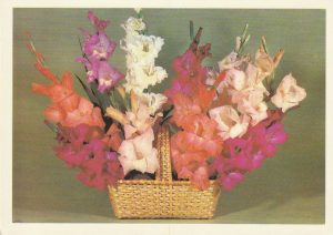 Atvirukas su gėlėmis, 1984