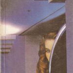 Japrisot Sebastien. Sudiev, drauguži