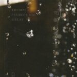 Ferrero Bruno. Ratilai vandenyje