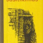 Garšinas Vsevolodas. Susitikimas