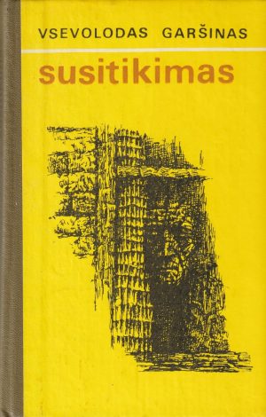 Garšinas Vsevolodas. Susitikimas