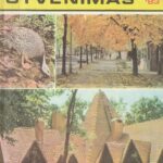 Mokslas ir gyvenimas, 1983/10