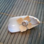 Sagė iš kriauklės