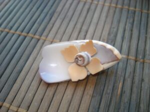 Sagė iš kriauklės