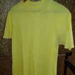 Tarybinė palaidinė