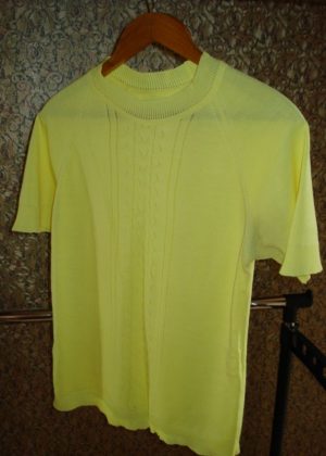 Tarybinė palaidinė