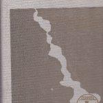 Žiugžda R. Po diplomatijos skraiste