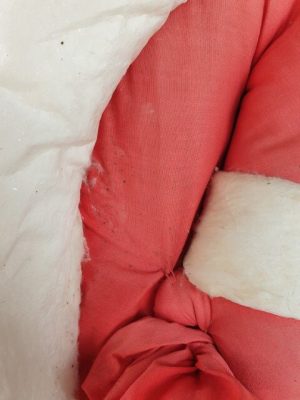 Senelis Šaltis - Image 13