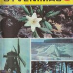 Mokslas ir gyvenimas, 1982/3