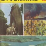 Mokslas ir gyvenimas, 1985/9