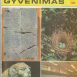 Mokslas ir gyvenimas, 1981/8