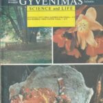 Mokslas ir gyvenimas, 1990/7