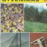 Mokslas ir gyvenimas, 1981/10
