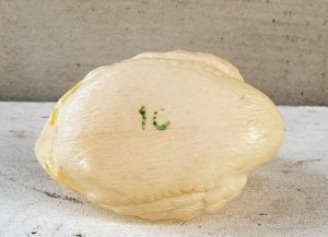 Plastikinė gulbė - Image 4