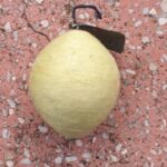 Senas eglutės žaisliukas "Citrina"