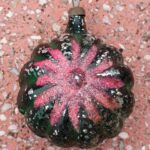 Senas eglutės žaisliukas