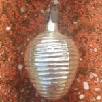 Senas eglutės žaisliukas