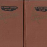 Andersenas Neksė Martinas. Pelia užkariautojas (2 tomai)