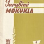 Tarybinė mokykla 1965/4