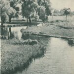 Obelienius J. Kur bėga Šešupė