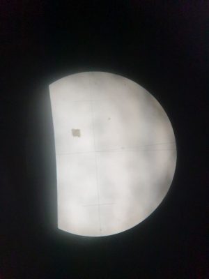 Nivelyras - Image 15