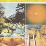 Mokslas ir gyvenimas, 1985/2