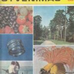 Mokslas ir gyvenimas, 1985/8