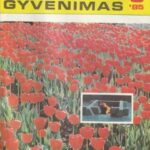 Mokslas ir gyvenimas, 1985/5