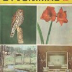 Mokslas ir gyvenimas, 1982/4