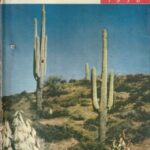 Mokslas ir gyvenimas, 1970/3