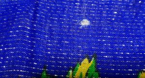 Skara su blizgučiu - Image 3