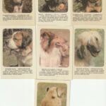 Kalendoriukų rinkinys, 1988