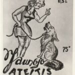 Vestuvinio plakato fotografija