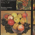 Atvirukų rinkinys "Ваш приусадебный участок. Плодово-ягодные культуры."