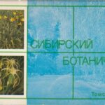 Atvirukų rinkinys "Sibiro botanikos sodas" (rusų k.)
