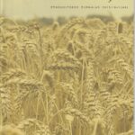 Suvalkija, 2013/1/46