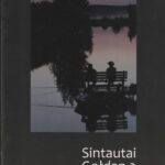 Sintautai-Goldap 2 (plenero katalogas)